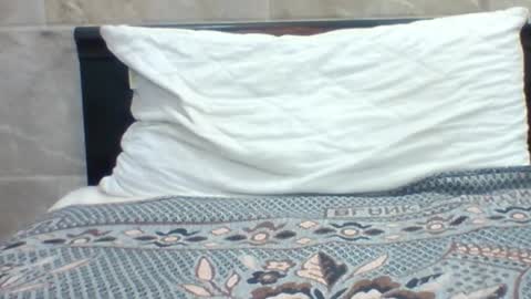 Snapshot of kingjordan122 chatting on 01.30.25 kingjordan122 online show from 01.30.25