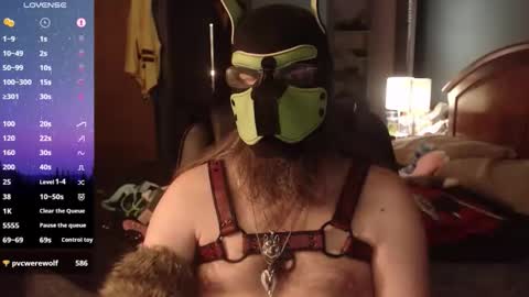kinkywolf87 online show from 05.08.26