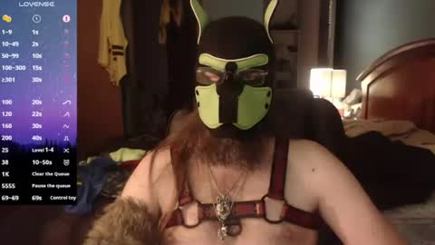 Snapshot of kinkywolf87 chatting on 06.11.26 kinkywolf87 online show from 06.11.26
