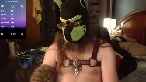 Snapshot of kinkywolf87 chatting on 06.14.26 kinkywolf87 online show from 06.14.26