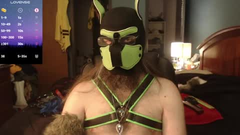Snapshot of kinkywolf87 chatting on 06.15.26 kinkywolf87 online show from 06.15.26