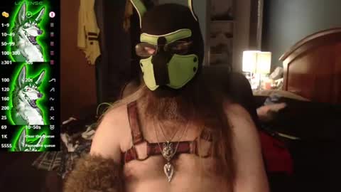 Snapshot of kinkywolf87 chatting on 06.25.26 kinkywolf87 online show from 06.25.26