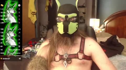 Snapshot of kinkywolf87 chatting on 07.08.26 kinkywolf87 online show from 07.08.26