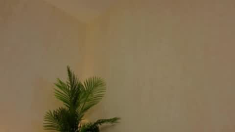 Snapshot of kirabesser chatting on 02.27.26 kirabesser online show from 02.27.26