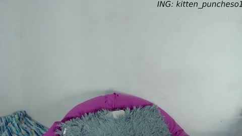 Snapshot of kitten_punches01 chatting on 09.28.25 kitten_punches01 online show from 09.28.25