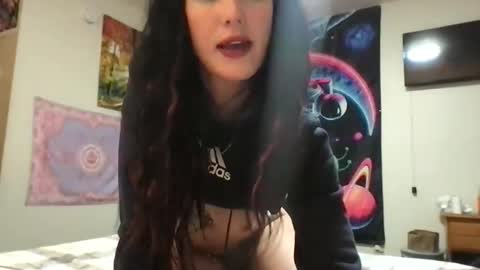 kittycatkendra online show from 03.18.26
