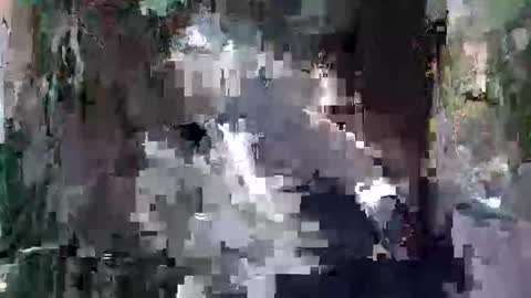 kittykemi online show from 09.24.25