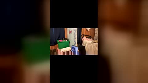 kittypurrrrry online show from 03.31.26