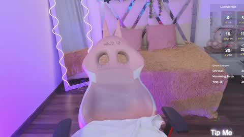 Kitty  online show from 01.15.25