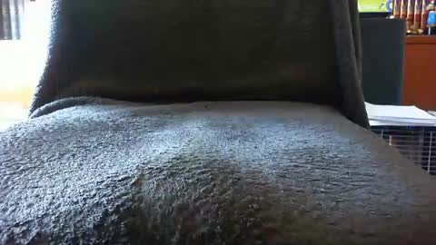 kledenn online show from 10.25.25