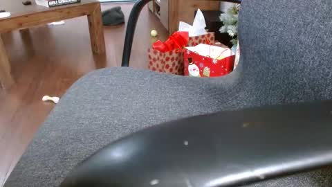 Snapshot of klok6187 chatting on 12.23.24 klok6187 online show from 12.23.24