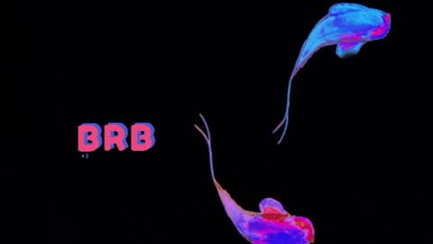 knowlita  online show from 03.06.26