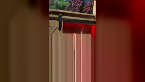 Snapshot of korysmith568 chatting on 02.20.26 korysmith568 online show from 02.20.26