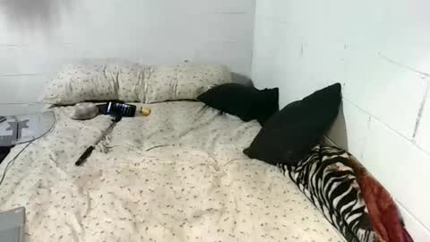 Snapshot of koty1169 chatting on 01.13.26 Katybaby online show from 01.13.26