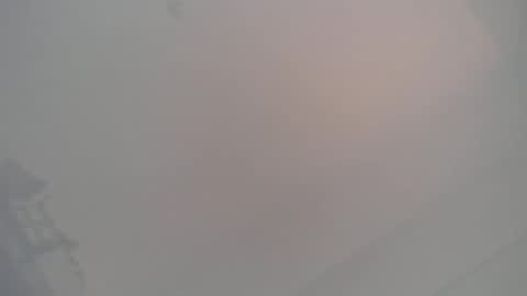 koz online show from 02.20.25