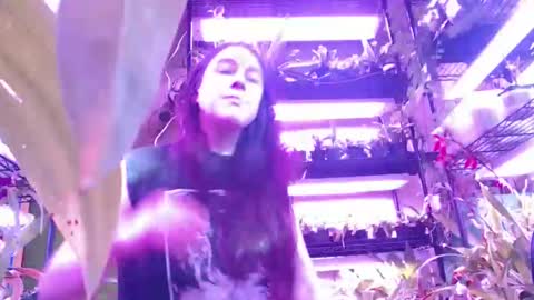 krookedorchid online show from 11.01.25