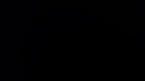 kvicali online show from 12.19.24