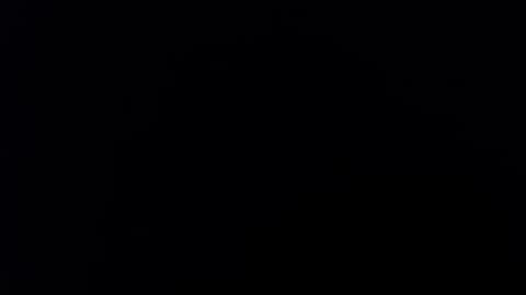 kvicali online show from 01.02.25