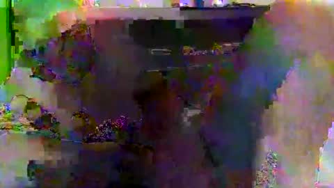 Snapshot of kylevogt2024 chatting on 04.14.26 kylevogt2024 online show from 04.14.26