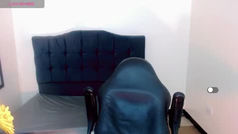 Snapshot of la_ratona_1 chatting on 12.28.24 AriSaray online show from 12.28.24