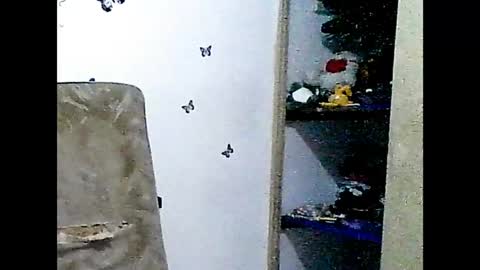 ladydeathz online show from 12.15.24