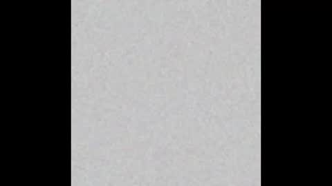  paola and a guest lol    online show from 02.18.25