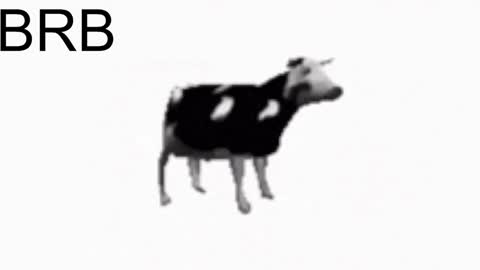 just call me Lana  and her security online show from 01.25.25