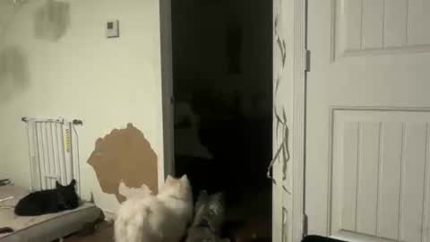 lanasharapovaxxx online show from 02.18.26