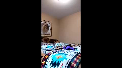 langederek2 online show from 03.26.26