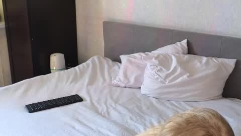 LarineGMT7  UTC6  online show from 04.11.26