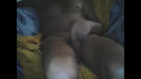 Larop49 online show from 10.06.25