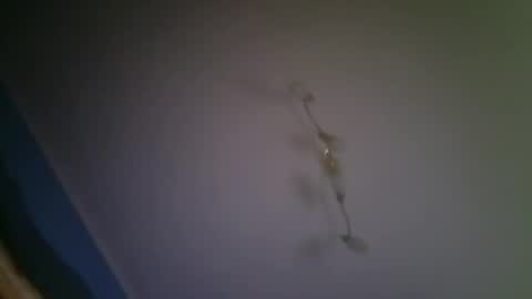 Snapshot of larry009 chatting on 12.15.25 larry009 online show from 12.15.25