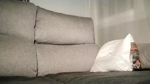 Alessandro online show from 12.07.24