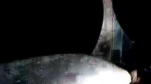 latexchris77 online show from 01.07.26