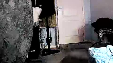 latexchris77 online show from 02.05.26