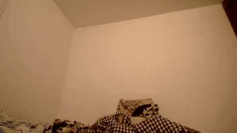 DEXTER online show from 02.11.25