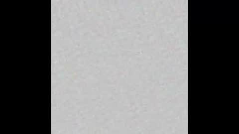 NICK online show from 12.14.24