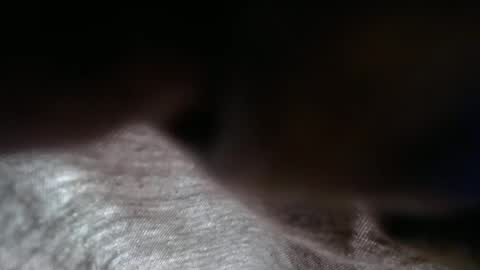 Snapshot of launeeee1 chatting on 02.03.26 launeeee1 online show from 02.03.26