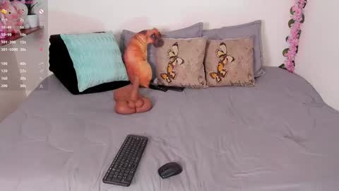 laura1__ online show from 12.15.25