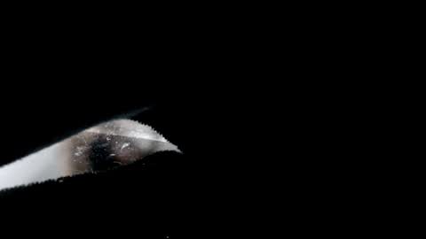 Laura online show from 12.24.24