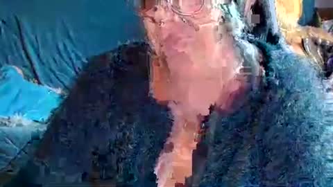 laureanne online show from 04.05.26