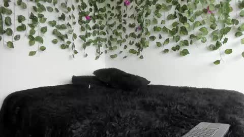 laurensmith9 online show from 03.27.26