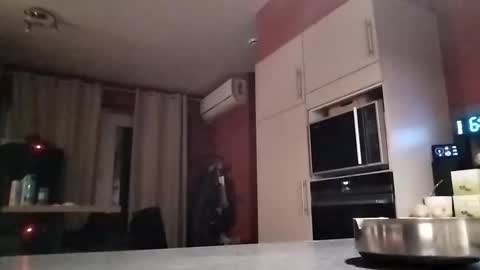 Snapshot of law9102 chatting on 12.16.25 Law online show from 12.16.25