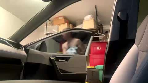 law_cambio online show from 03.01.25