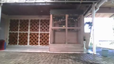 kelly online show from 01.05.26