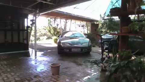 kelly online show from 04.11.26