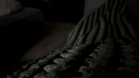 lc6173 online show from 12.15.25