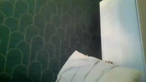 leeuwarder12 online show from 11.20.25