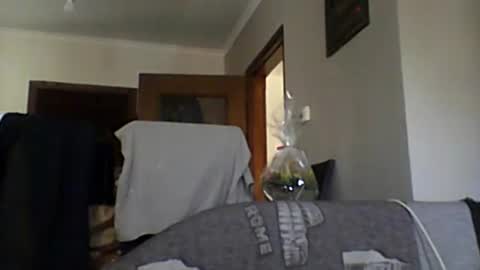 lelshop online show from 12.08.24