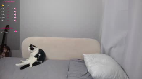 leonkissboy online show from 03.01.26